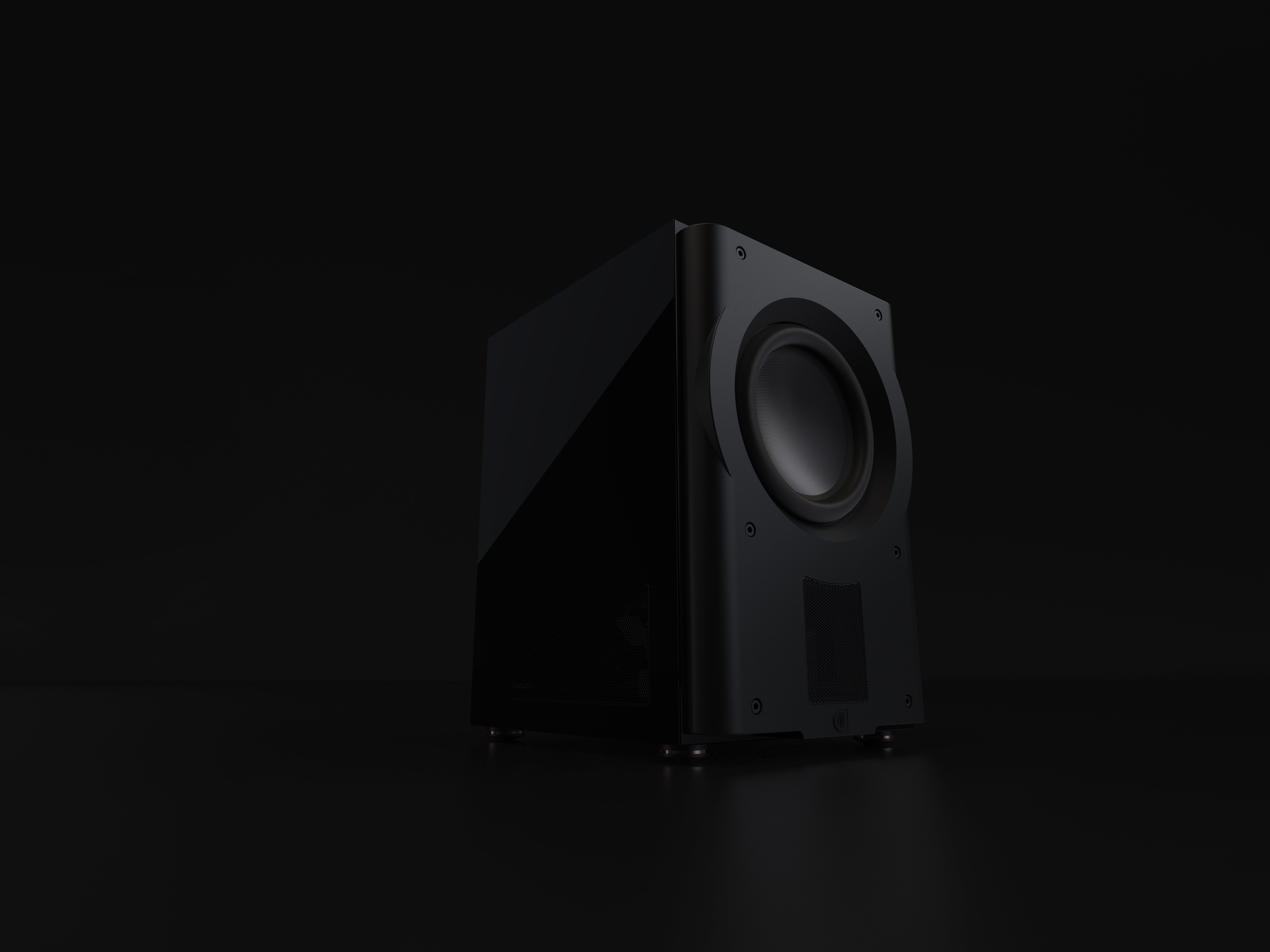 Perlisten Audio R210s Subwoofer