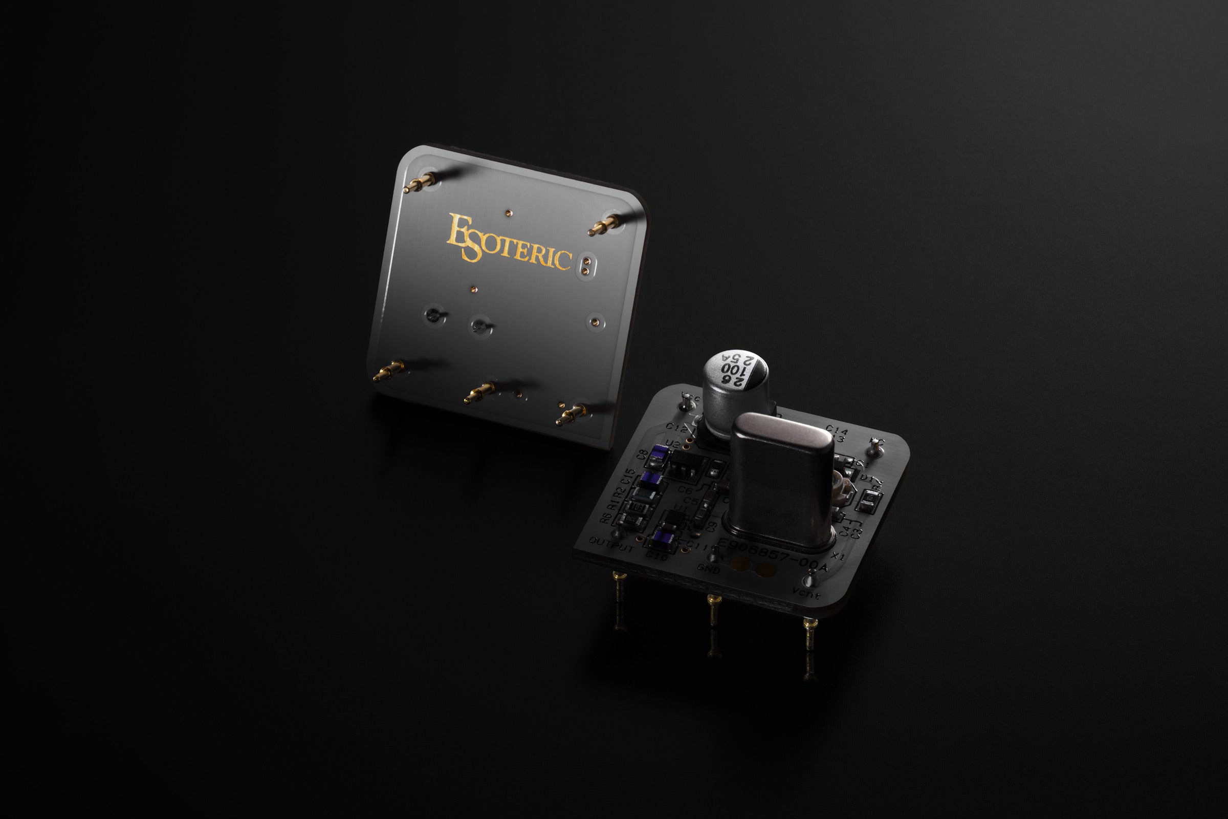 Esoteric Grandioso D1X-SE Monoblock DAC (set of 2)